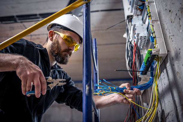 Best Electric Panel Repair  in Mays Chapel, MD